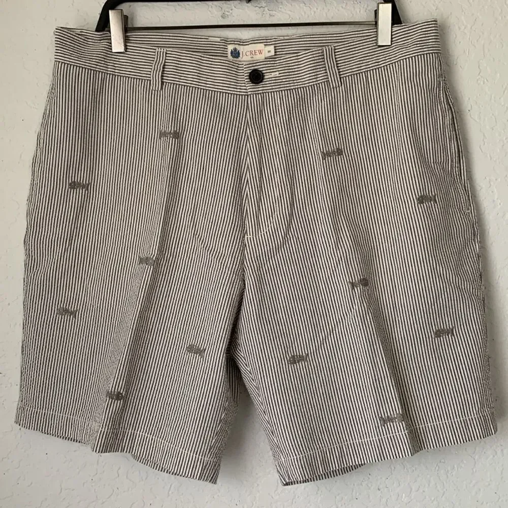 J.Crew Men's Striped Blue White Gray Pockets Shorts Size 36